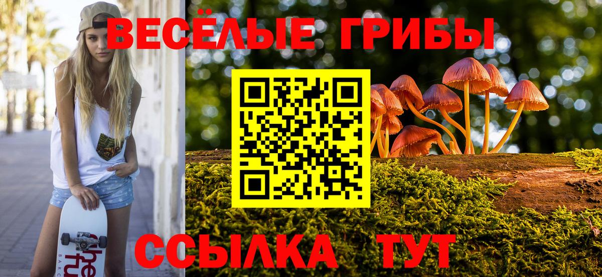 Псилоцибиновые грибы Psilocybine cubensis  Галлюциногенные грибы Psilocybine cubensis  Хасавюрт  Вход с VPN 