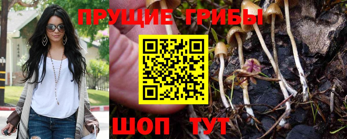 Галлюциногенные грибы Psilocybine cubensis Хасавюрт